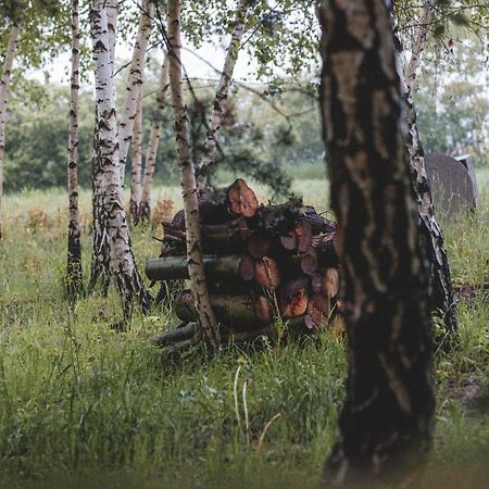 Domki Na Gorniej Lace - Domek Slowik Lazany Exteriér fotografie