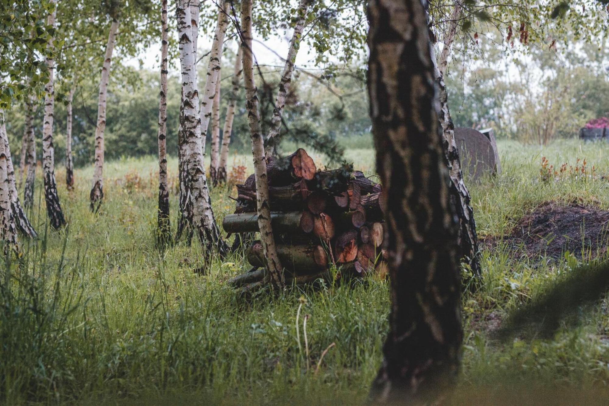 Domki Na Gorniej Lace - Domek Slowik Lazany Exteriér fotografie