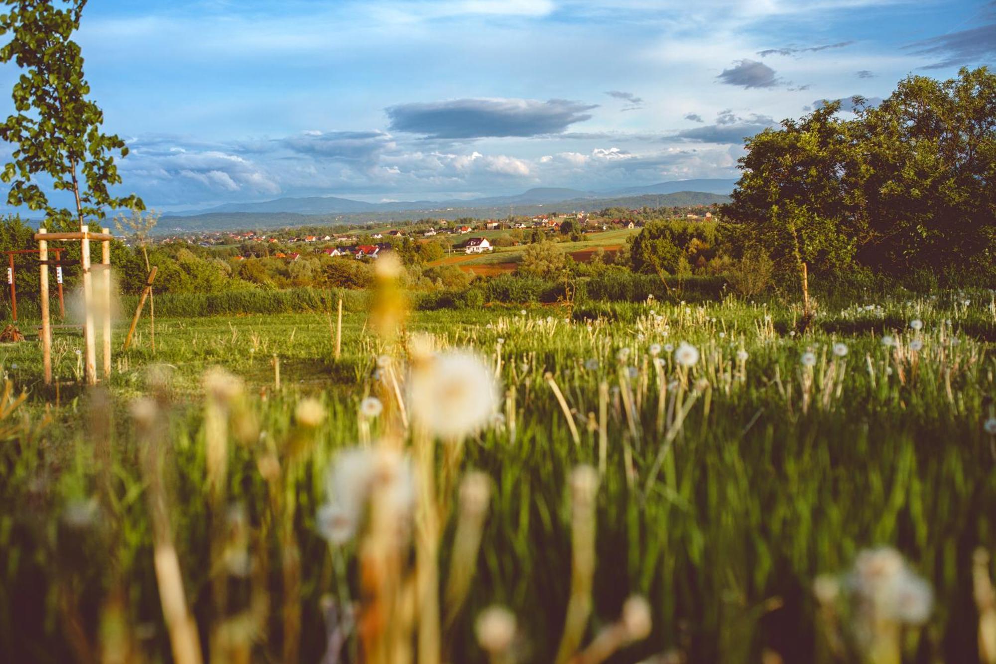 Domki Na Gorniej Lace - Domek Slowik Lazany Exteriér fotografie