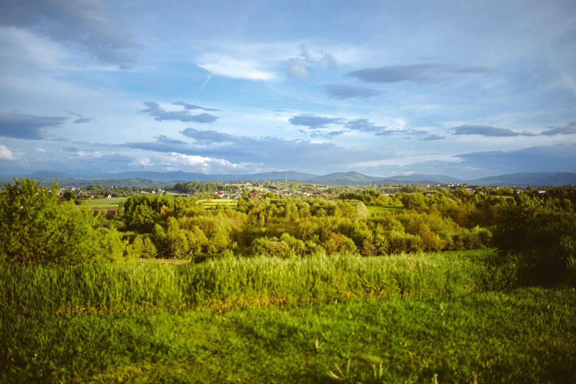 Domki Na Gorniej Lace - Domek Slowik Lazany Exteriér fotografie