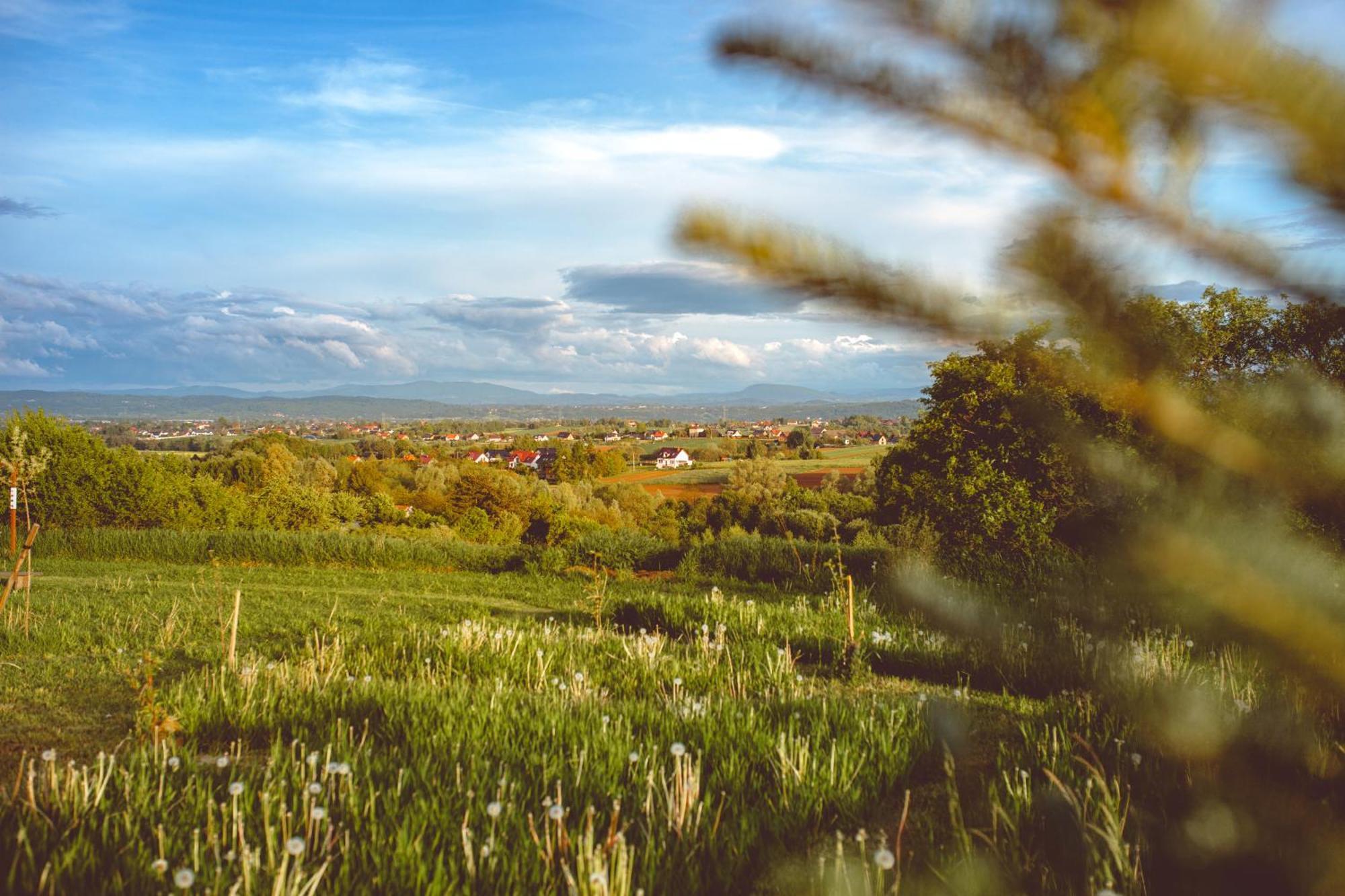 Domki Na Gorniej Lace - Domek Slowik Lazany Exteriér fotografie