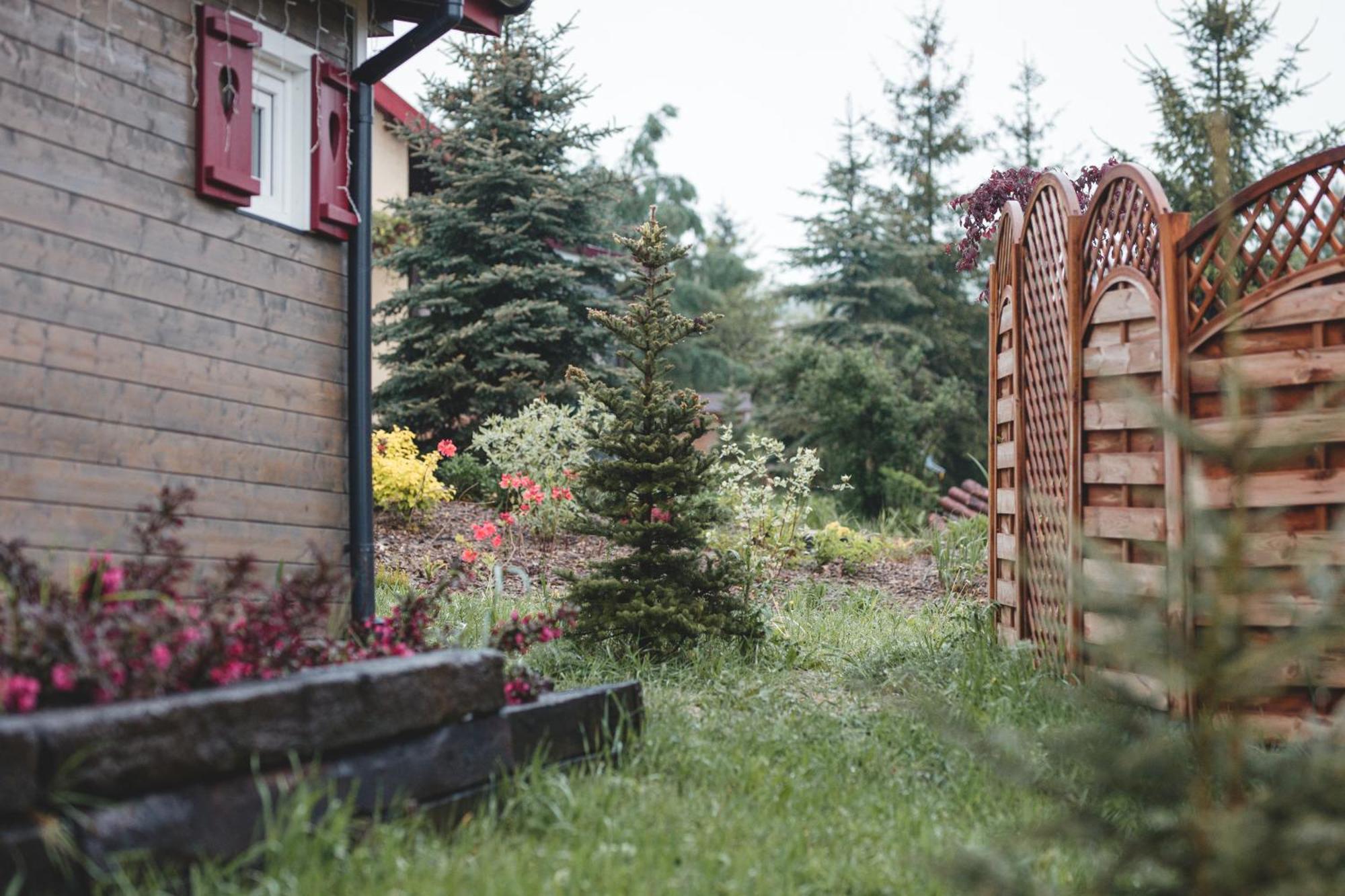 Domki Na Gorniej Lace - Domek Slowik Lazany Exteriér fotografie