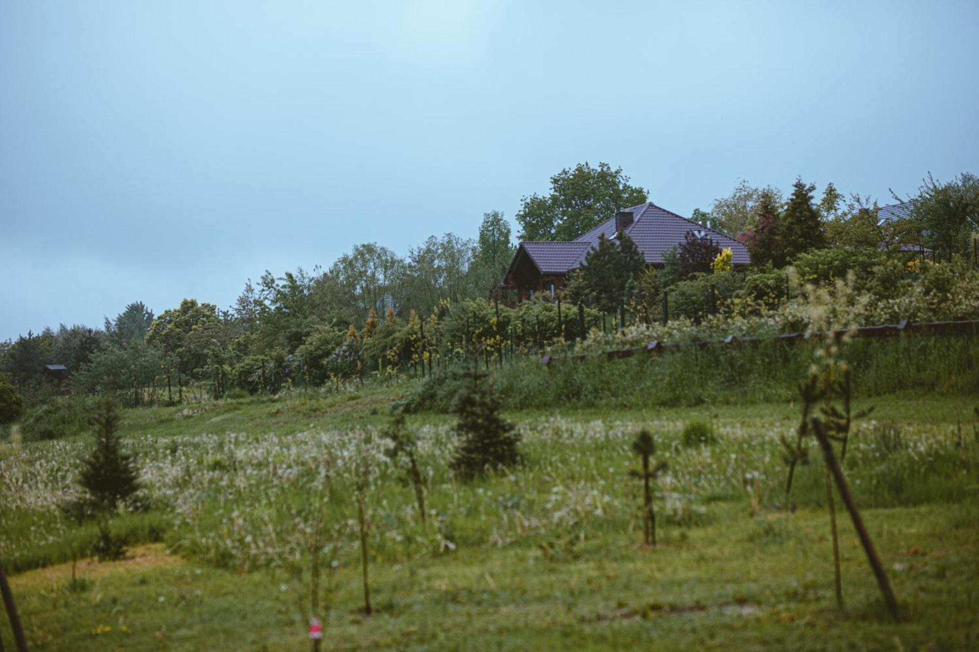 Domki Na Gorniej Lace - Domek Slowik Lazany Exteriér fotografie