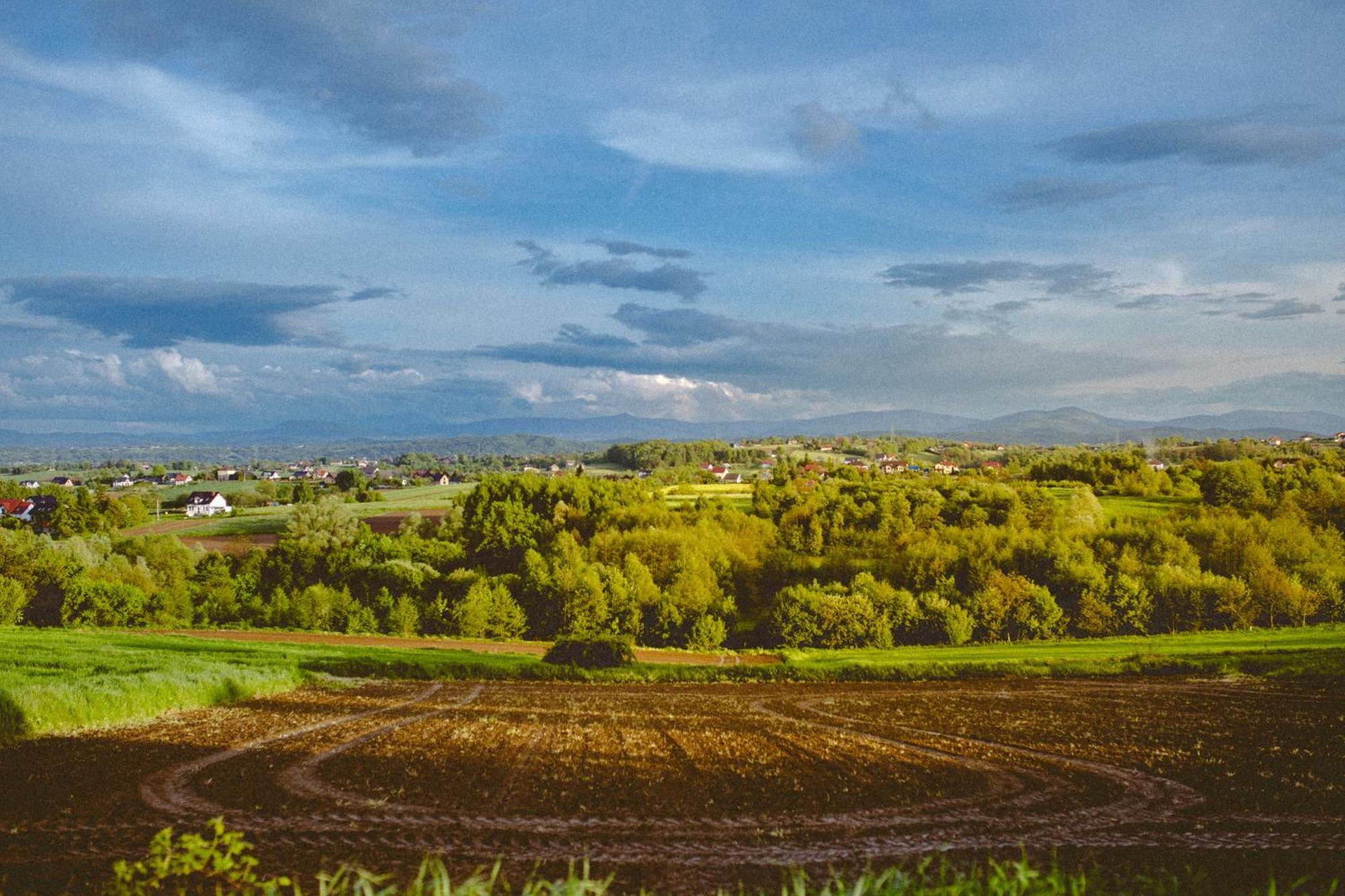 Domki Na Gorniej Lace - Domek Slowik Lazany Exteriér fotografie