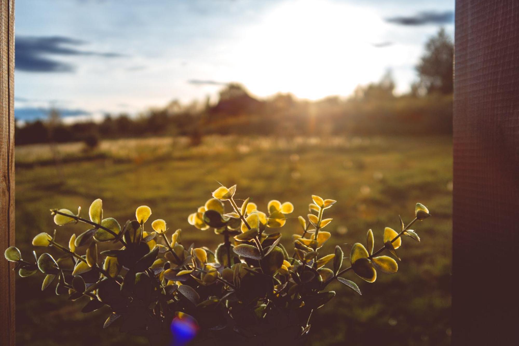 Domki Na Gorniej Lace - Domek Slowik Lazany Exteriér fotografie
